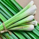 Health Benefits Of Lemon Grass APK