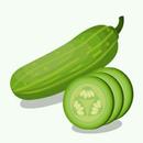 Health Benefits of Cucumber APK