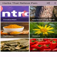 Herbs That Relieve Pain Plakat