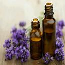 Lavender Essential Oil Health  APK