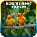 Suara Kicau Burung Ngoceh Offline Lengkap APK
