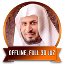 Saad AL GHAMIDI Qur'an Mp3 Full Offline 30 Juz APK
