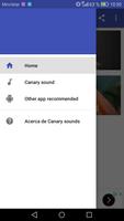 Canary Singing screenshot 3