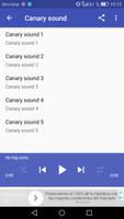Canary Singing screenshot 2