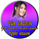 Via Vallen Bagai Lagit Dan Bumi APK