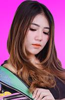 Dangdut Mp3 Offline-poster
