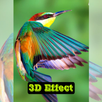 Wallpaper Bird 3D Effect Live APK