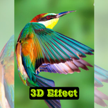 Wallpaper Bird 3D Effect Live