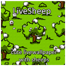 LiveSheep APK
