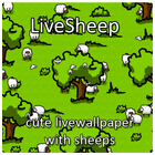 ikon LiveSheep