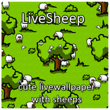 LiveSheep