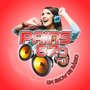 Rádio Pains FM 87,9 APK