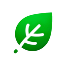 Vegetarian Meal Plan & Recipes APK