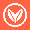 APK Mediterranean Diet Plan