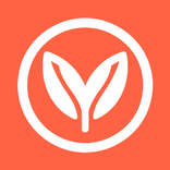 Mediterranean Diet Plan