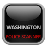 Washington icon