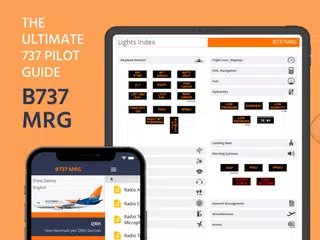 Скачать B737 MRG APK
