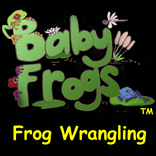 Baby Frogs - Frog Wrangling
