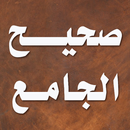 صحيح الجامع الصغير و زيادته APK