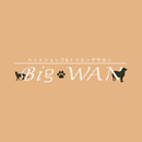 【公式】ペットショップ併設トリミングサロンBIGWAN APK