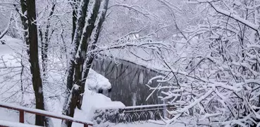 Clima: ¡Cualquier lugar en la 