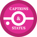 Offline Caption - Photo Caption