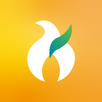 燭光 Catholight APK