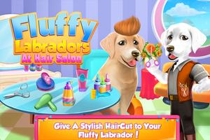 Fluffy Labradors at Hair Salon poster