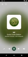 Quran Radio Stations ảnh chụp màn hình 2