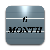 Six Month Calendar-icoon