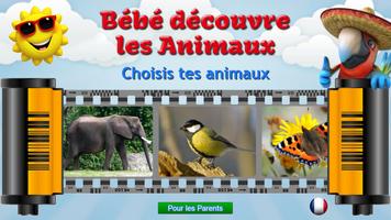 Je découvre les animaux, plein Affiche