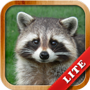 Animals for Kids APK