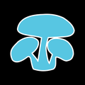 Shroomery