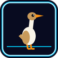 Duck Dash
