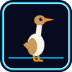 Duck Dash APK