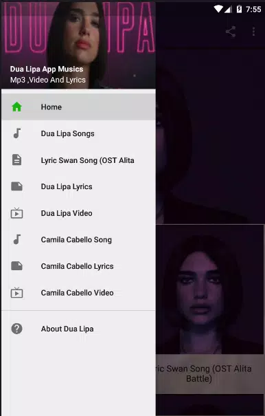 Dua Lipa APK for Android Download