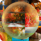 Autumn Timelapse Theme icône