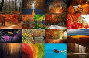 Autumn Timelapse Theme Affiche