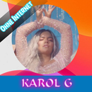 KAROL G - Tusa || No Internet APK