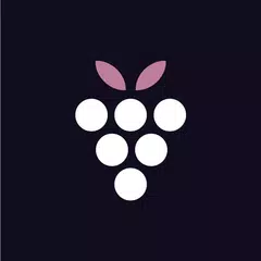 download Салон Black Berry XAPK
