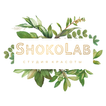 Студия Красоты ShokoLab