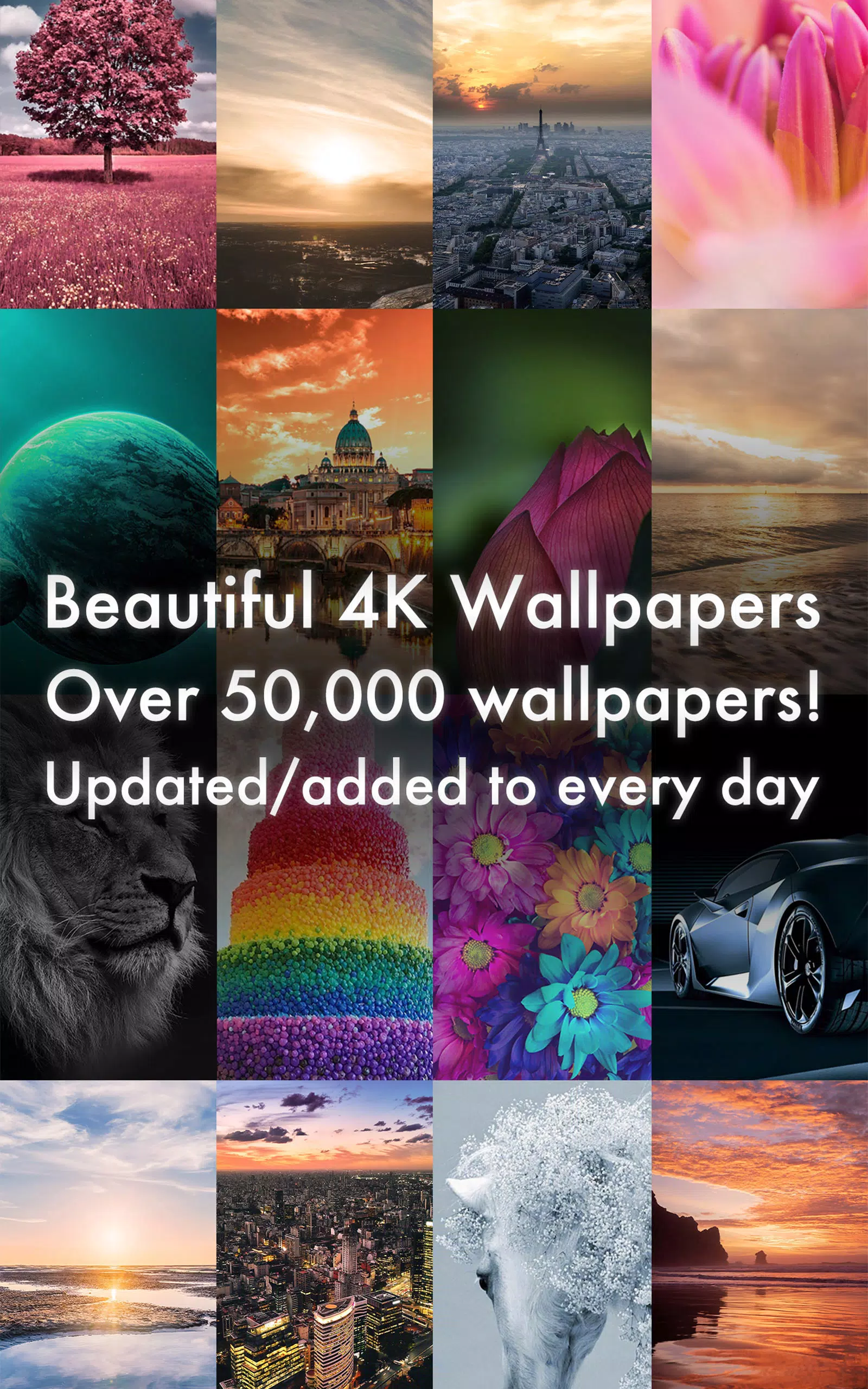 Beautiful HD Wallpapers APK for Android Download Beautiful HD Wallpapers APK for Android Download