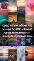 Красивые обои 4K/HDR постер