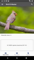 Bird ID Master الملصق