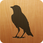 Blackbird আইকন