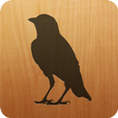 APK Blackbird