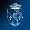 Dumbravita City App icon