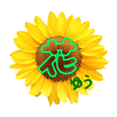 群馬県太田市　フラワーショップ花ゆう　公式アプリ APK