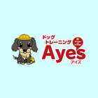 ドッグトレーニングＡｙｅ’ｓ公式アプリ আইকন