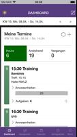 FC Erzgebirge Aue Team Manager 截图 1